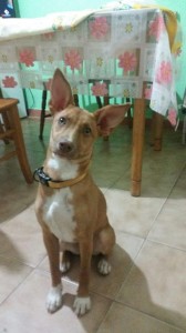 NIky