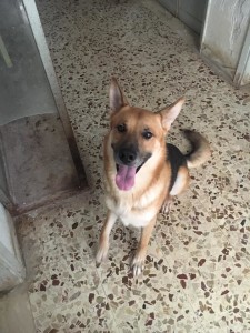 ares