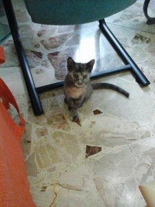 minnie