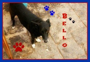 bell