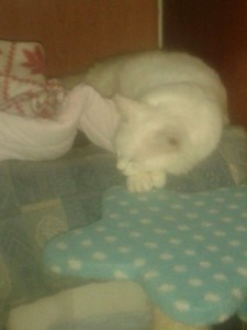 marce