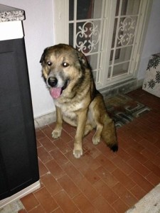 mili
