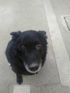 roky