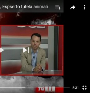 foto turismo animal friendly