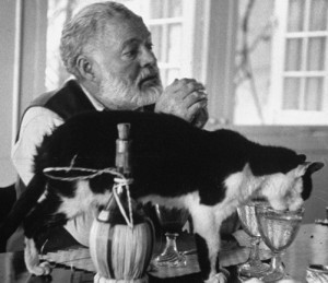 ernest-hemingway-e-i-gatti
