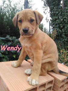 wendy