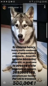 henry