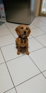 luky