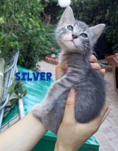 silver