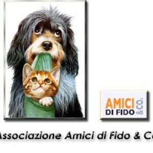 amic
