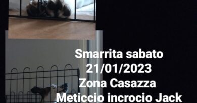 TROVATAAAA !!! Messina- zona casazza smarrita Stella
