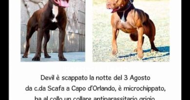 Sicilia-capo d’orlando (me) si è perso il 3 agosto Devil